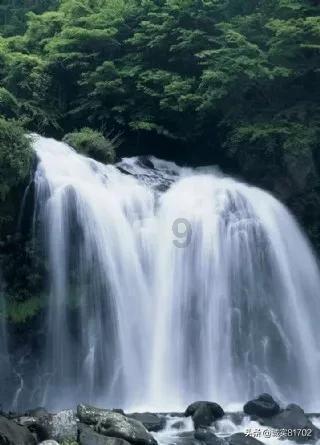 镇雄“1·22”山体滑坡抢险救援写进政府工作报告 这份灾害应对手册请收好